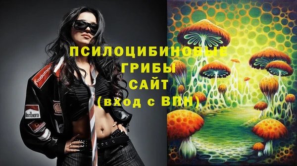 шишки Алексин