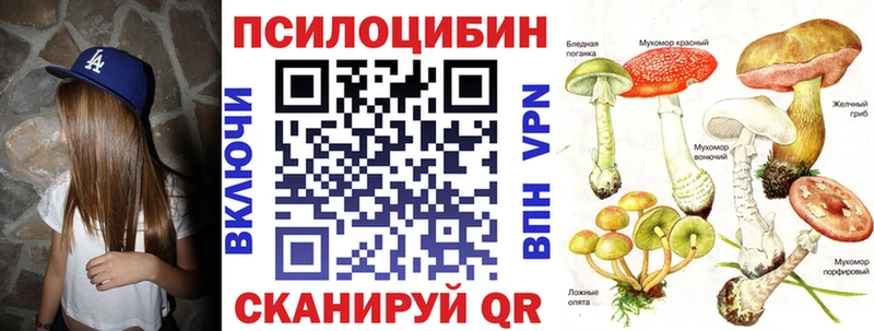 Псилоцибиновые грибы Magic Shrooms  где купить   omg вход  дарк нет телеграм  Элиста 