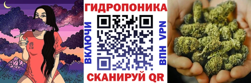 сколько стоит  Элиста  Бошки марихуана Bruce Banner 